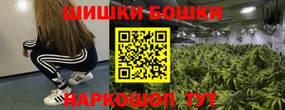 прущие грибы Ярославль