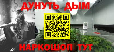 прущие грибы Ярославль